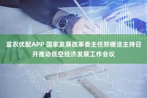 富农优配APP 国家发展改革委主任郑栅洁主持召开推动低空经济发展工作会议