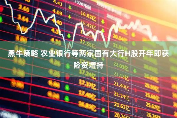 黑牛策略 农业银行等两家国有大行H股开年即获险资增持