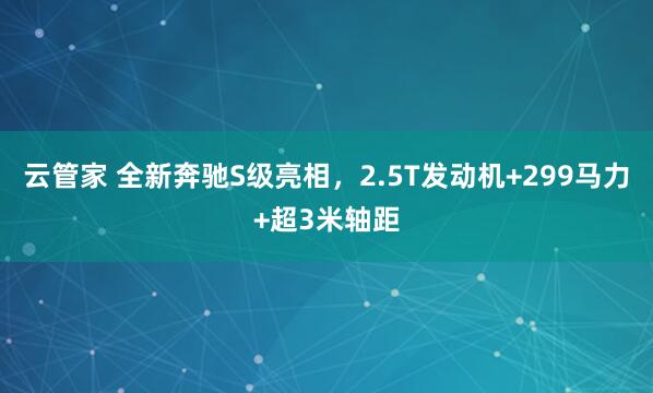 云管家 全新奔驰S级亮相，2.5T发动机+299马力+超3米轴距
