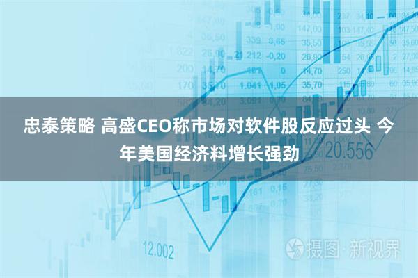 忠泰策略 高盛CEO称市场对软件股反应过头 今年美国经济料增长强劲