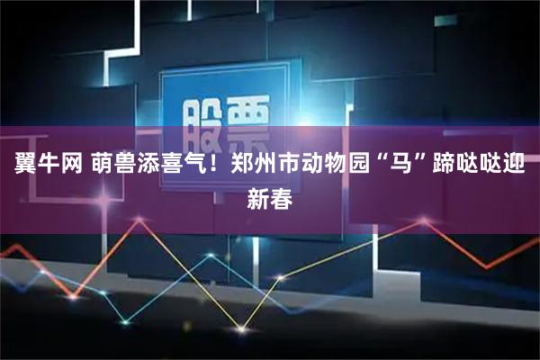 翼牛网 萌兽添喜气！郑州市动物园“马”蹄哒哒迎新春