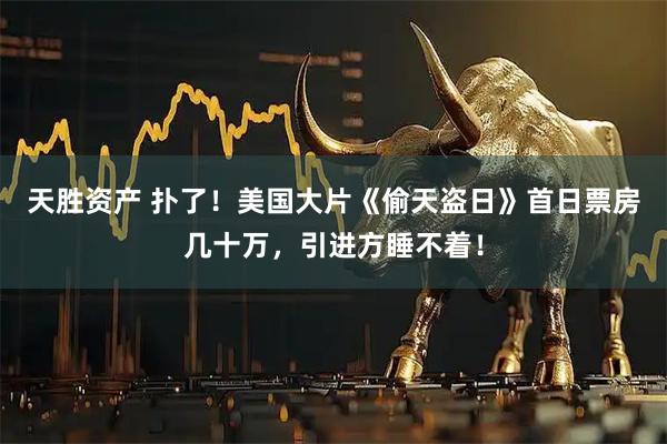 天胜资产 扑了！美国大片《偷天盗日》首日票房几十万，引进方睡不着！