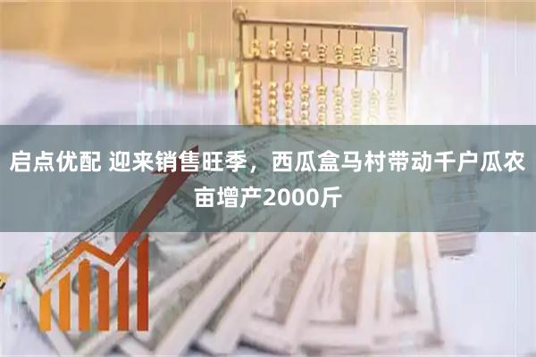 启点优配 迎来销售旺季，西瓜盒马村带动千户瓜农亩增产2000斤