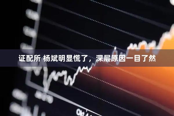 证配所 杨斌明显慌了，深层原因一目了然